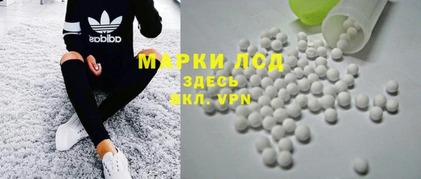 ГАЛЛЮЦИНОГЕННЫЕ ГРИБЫ Лагань
