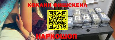 стафф Гатчина