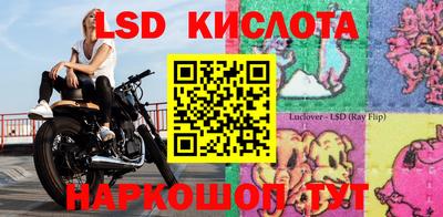 стафф Гатчина