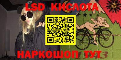 стафф Гатчина