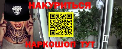 стафф Гатчина