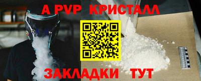 стафф Гатчина