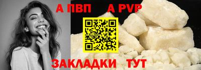 стафф Гатчина