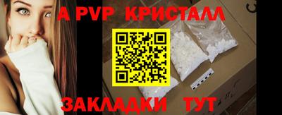 стафф Гатчина