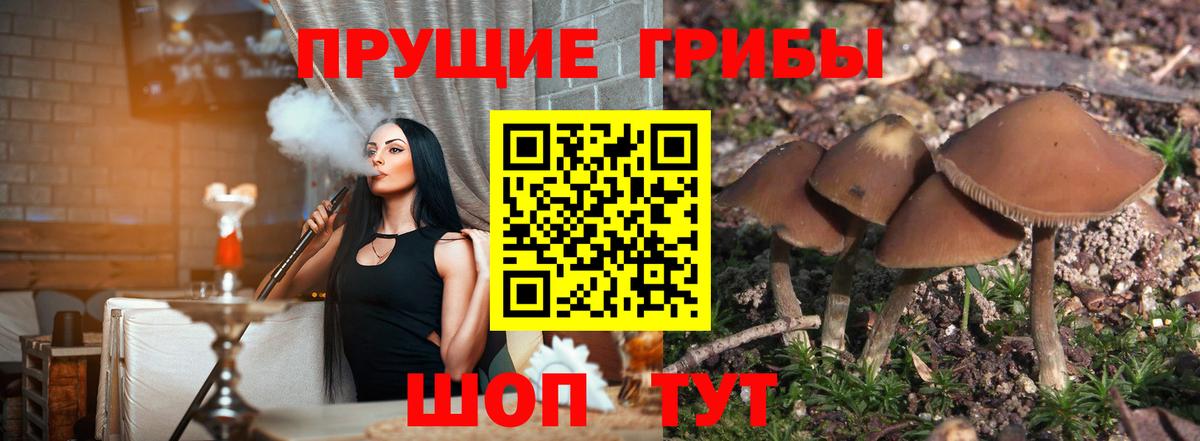Галлюциногенные грибы ЛСД  Псилоцибиновые грибы Psilocybe  Дедовск  Вход с VPN 